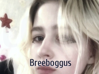 Breeboggus