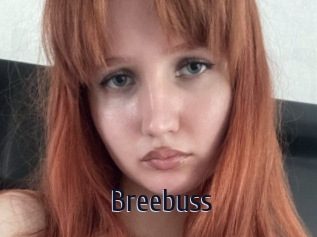 Breebuss