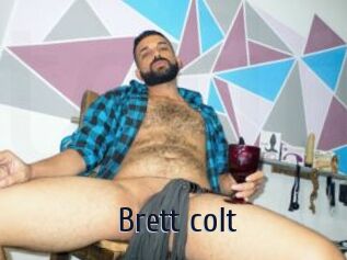 Brett_colt