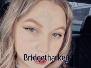 Bridgetharkey