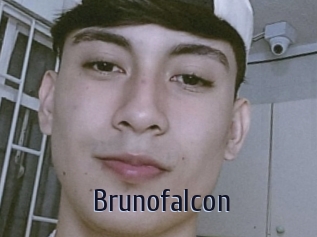 Brunofalcon