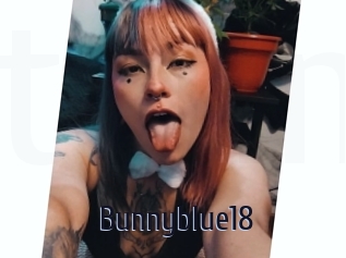 Bunnyblue18