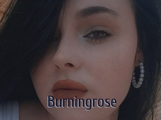 Burningrose