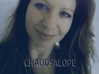 CHAUDSALOPE