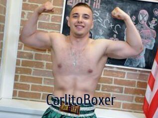 CarlitoBoxer