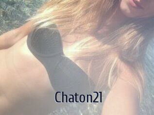 Chaton21