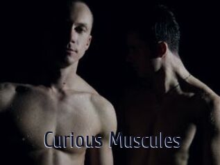 Curious_Muscules