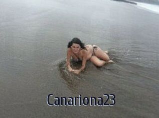 Canariona23