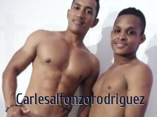 Carlesalfonzorodriguez