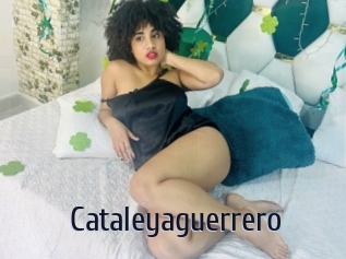 Cataleyaguerrero