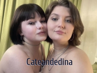 Cateandedina