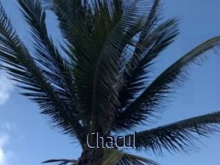 Chacul