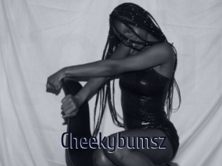 Cheekybumsz