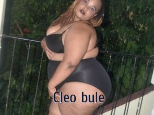 Cleo_bule