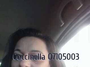 Coccinella-07105003