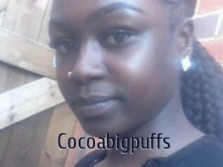 Cocoabigpuffs