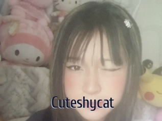 Cuteshycat