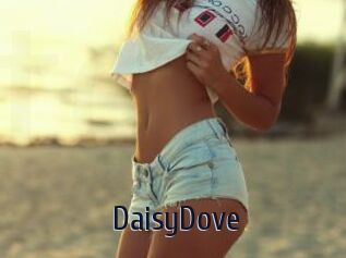 DaisyDove