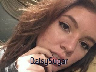 Daisy_Sugar