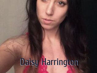 Daisy_Harrington