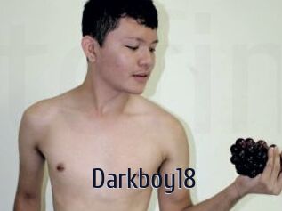 Darkboy18