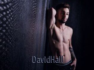 DavidHall