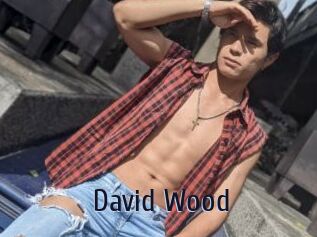 David_Wood