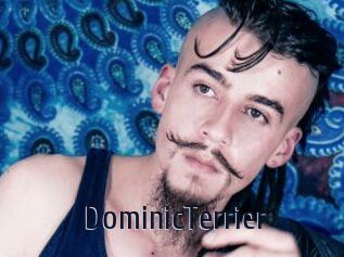 DominicTerrier