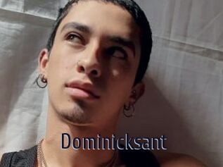 Dominicksant