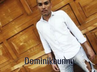 Dominikbunny