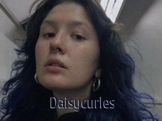 Daisycurles