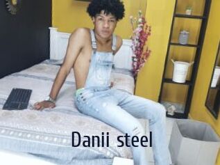 Danii_steel