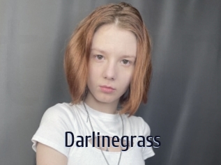 Darlinegrass