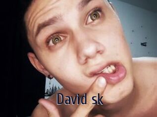 David_sk