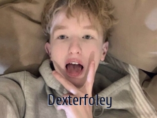 Dexterfoley