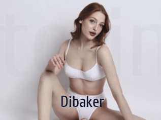 Dibaker