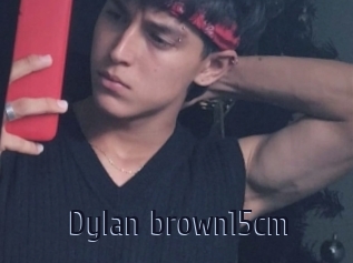 Dylan_brown15cm