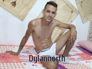 Dylan_north