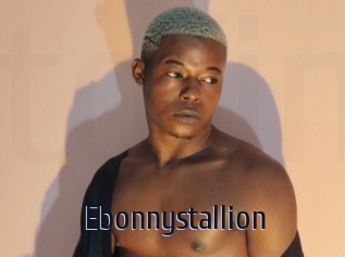 Ebonnystallion