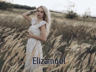 Elizamool