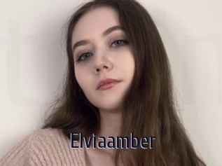 Elviaamber