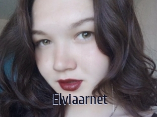 Elviaarnet