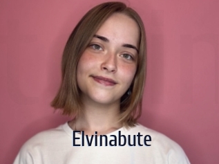 Elvinabute