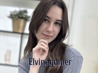 Elvinagomer