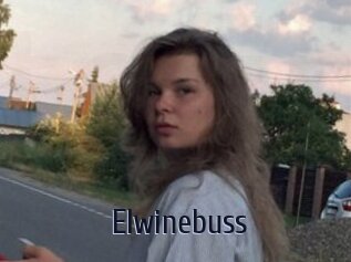 Elwinebuss