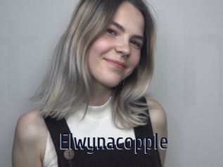 Elwynacopple