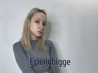 Erlenebigge