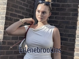 Erlenebrookins