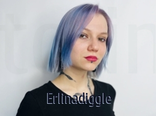 Erlinadiggle