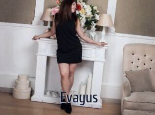 Evayus